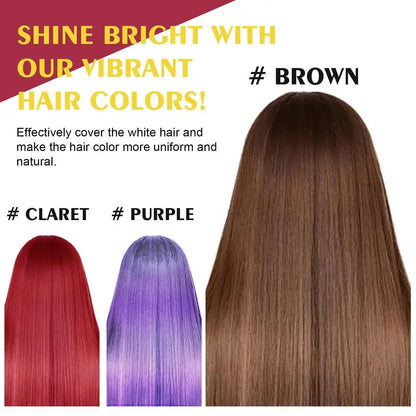 Hair Color Shampoo Black Hair Dye Covering White Hair Shampoo Hair Dye Shampoo Darkening Hair Shampoo Wine Red, Brown, Silver